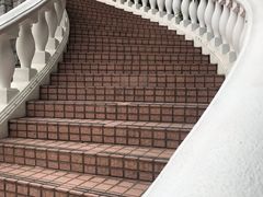 -香港大学