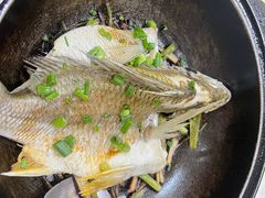 -阳江餐厅·30年老字号·粤菜海鲜大排档
