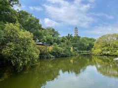 -江心屿景区