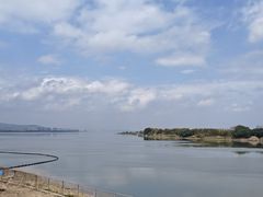 -八仔大富楼·河鲜(西江店)