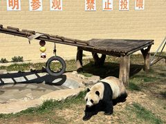 -石家庄市动物园