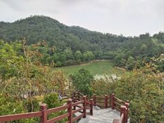 -广州白江湖森林公园