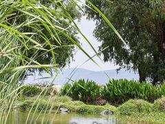 -大理洱海