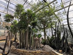 -北京植物园-展览温室