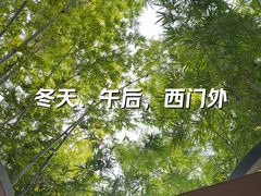 -扫雪煮茶(西村店)