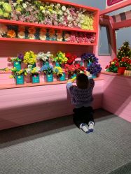 -幻贝家儿童乐园(苏州中心店)