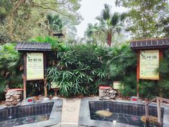 -明月山天沐温泉度假村