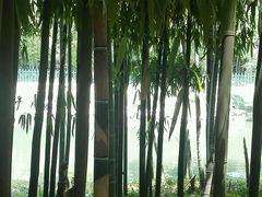 android_upload_pic-威廉的太妃糖酒店(杭州西湖青芝坞店)