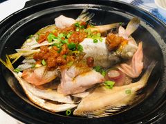 黄豆酱杂鱼煲-五稻厨房粤西菜(新闻店)