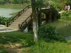 -艾溪湖湿地公园