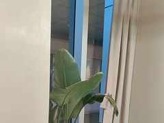 -杨氏青龙虾·羊蝎子(珠江路店)