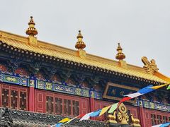-西安市广仁寺