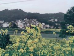 -新安江山水画廊风景区