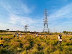 -王借岗森林公园