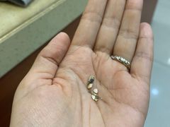 -艾贝尔宠物医院·24H转诊中心·肿瘤猫专科(江宁双龙店)