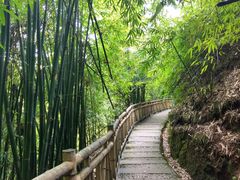 -沐川竹海旅游景区