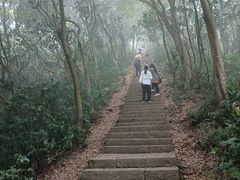 -梧桐山风景名胜区