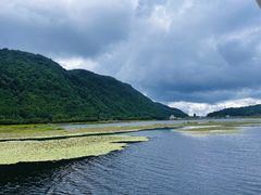 -腾冲北海湿地