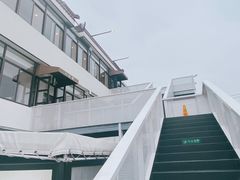 -大队长大灶鹅