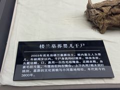 -巴音郭楞蒙古自治州博物馆