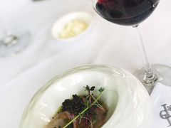 -蝶舍·MAISON PAPILLON