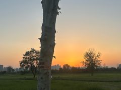 -汉长安城未央宫国家考古遗址公园