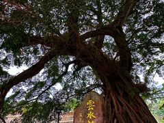 -云水谣景区