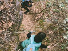 -杭州半山国家森林公园