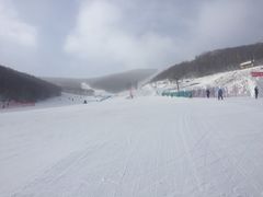-多乐美地滑雪场