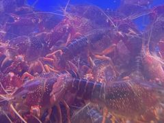 -一起吃小龙虾·海鲜(海珠店)