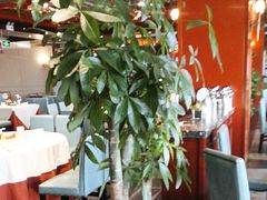 -大鸭梨烤鸭(金色漫香店)