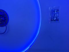 -关你鬼室大型密室逃脱(佛山创意园店)