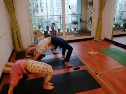 -Yvon yoga 瑜伽·精准体态管理中心
