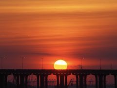 -宝安西湾红树林湿地公园