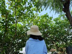 -艾溪湖湿地公园