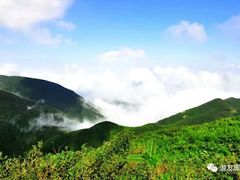 -东白山