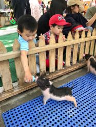 -萌宠亲子动物乐园(槐房万达店)