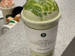 -茉酸奶(春熙路店)