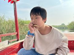 -白洋淀景区