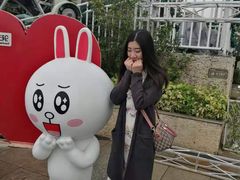 -幻彩摩天轮