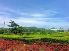 -汇泉广场