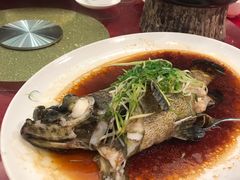 -海都六福酒家(世博广场店)