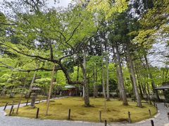 -三千院