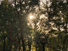 -WeLope紫金山探险公园