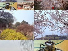 -南关北海公园