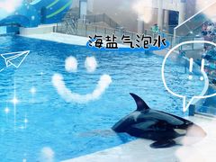 -上海海昌海洋公园