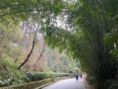 -黔灵山公园