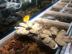 -77号渔船·蒸海鲜青岛菜(积米崖店)