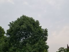 -西南交通大学(峨眉校区)