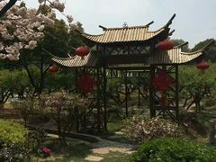 -白马涧龙池景区